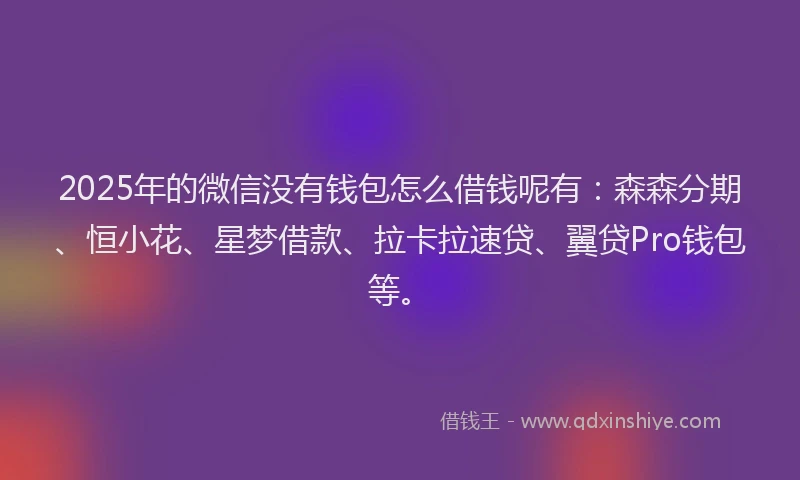 2025年的微信没有钱包怎么借钱呢有：森森分期、恒小花、星梦借款、拉卡拉速贷、翼贷Pro钱包等。