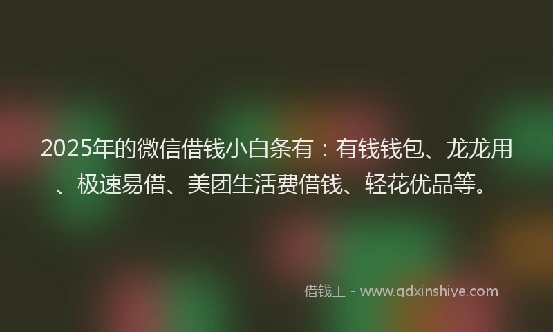 2025年的微信借钱小白条有：有钱钱包、龙龙用、极速易借、美团生活费借钱、轻花优品等。