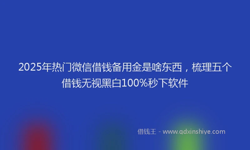 2025年热门微信借钱备用金是啥东西，梳理五个借钱无视黑白100%秒下软件