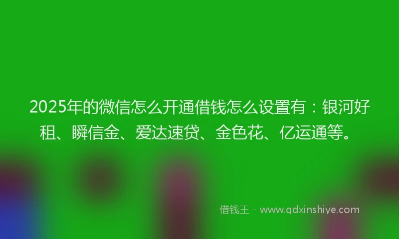 2025年的微信怎么开通借钱怎么设置有：银河好租、瞬信金、爱达速贷、金色花、亿运通等。