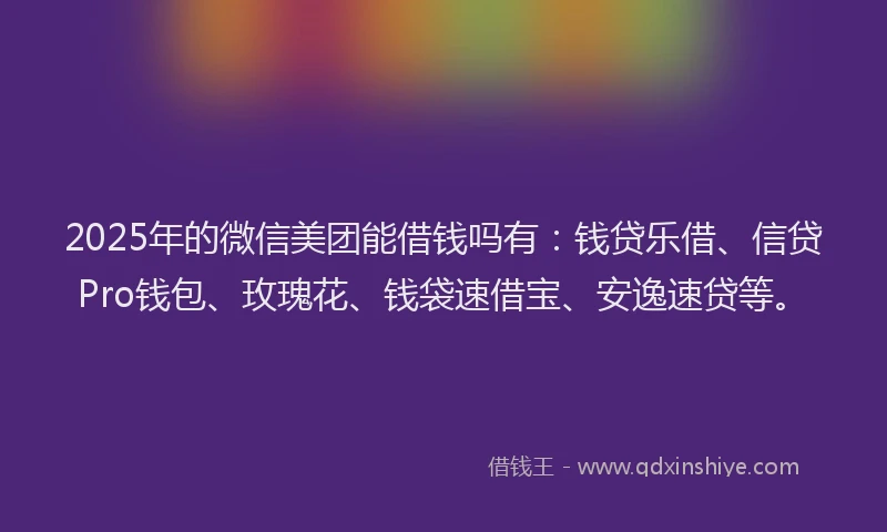 2025年的微信美团能借钱吗有：钱贷乐借、信贷Pro钱包、玫瑰花、钱袋速借宝、安逸速贷等。