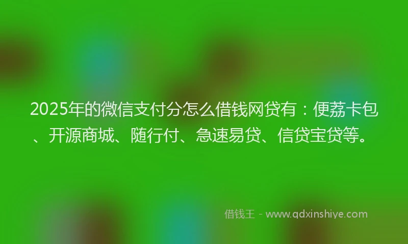 2025年的微信支付分怎么借钱网贷有：便荔卡包、开源商城、随行付、急速易贷、信贷宝贷等。