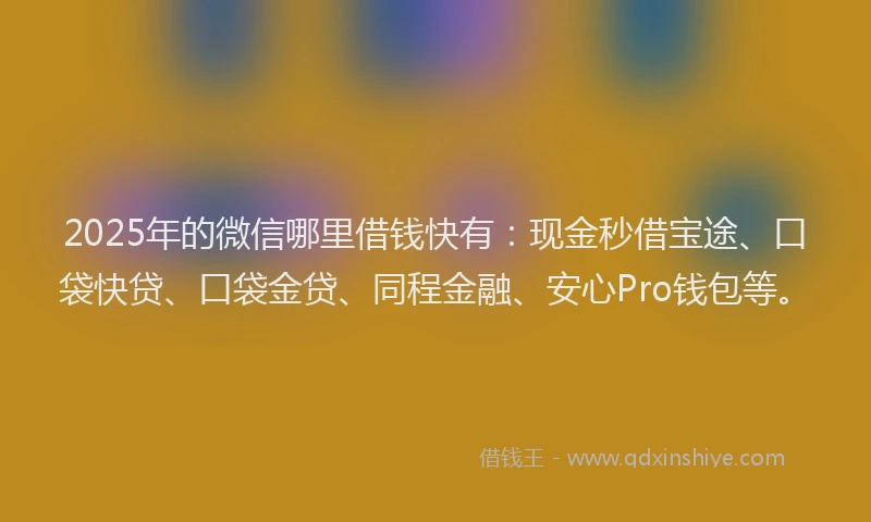 2025年的微信哪里借钱快有：现金秒借宝途、口袋快贷、口袋金贷、同程金融、安心Pro钱包等。