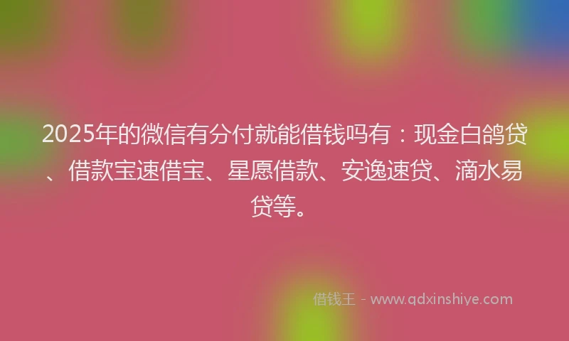 2025年的微信有分付就能借钱吗有：现金白鸽贷、借款宝速借宝、星愿借款、安逸速贷、滴水易贷等。