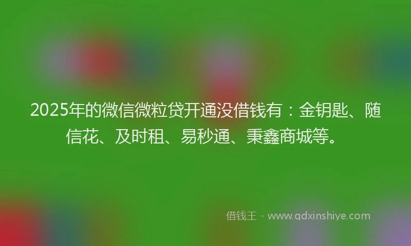2025年的微信微粒贷开通没借钱有：金钥匙、随信花、及时租、易秒通、秉鑫商城等。