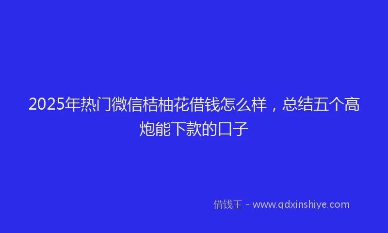 2025年热门微信桔柚花借钱怎么样，总结五个高炮能下款的口子