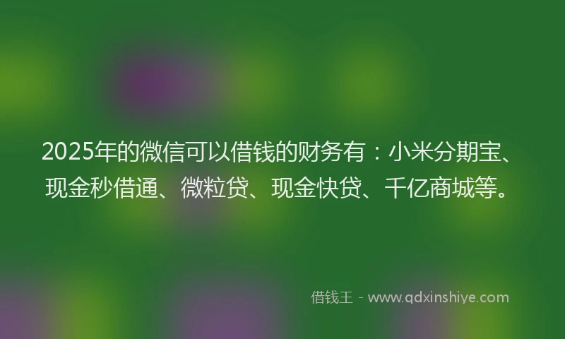 2025年的微信可以借钱的财务有：小米分期宝、现金秒借通、微粒贷、现金快贷、千亿商城等。