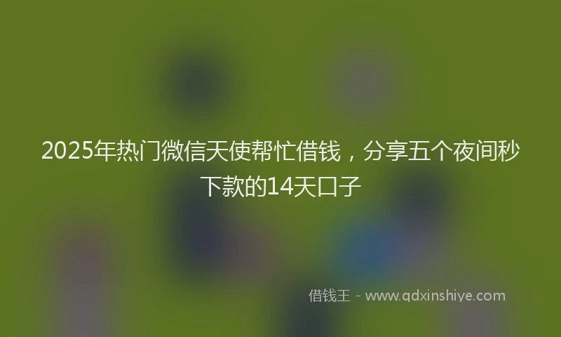 2025年热门微信天使帮忙借钱，分享五个夜间秒下款的14天口子