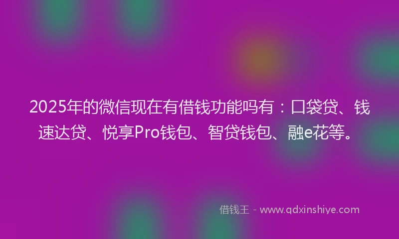 2025年的微信现在有借钱功能吗有：口袋贷、钱速达贷、悦享Pro钱包、智贷钱包、融e花等。