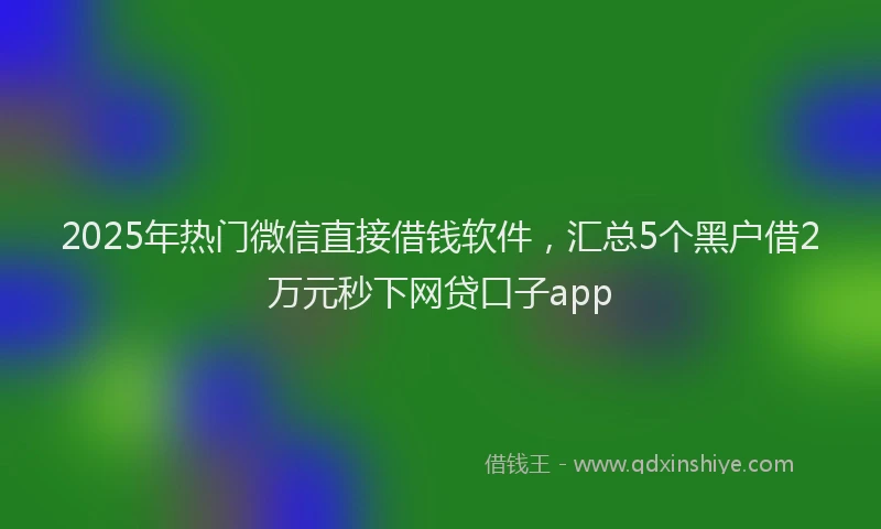2025年热门微信直接借钱软件，汇总5个黑户借2万元秒下网贷口子app