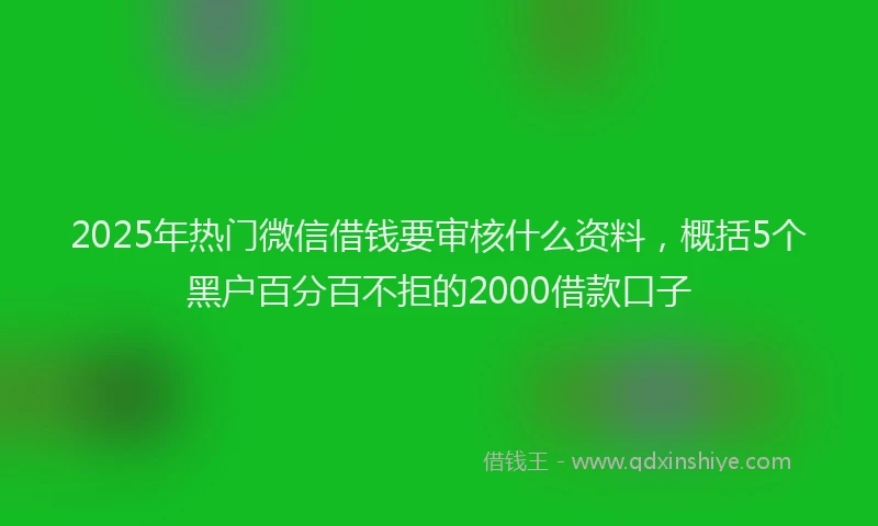 2025年热门微信借钱要审核什么资料，概括5个黑户百分百不拒的2000借款口子