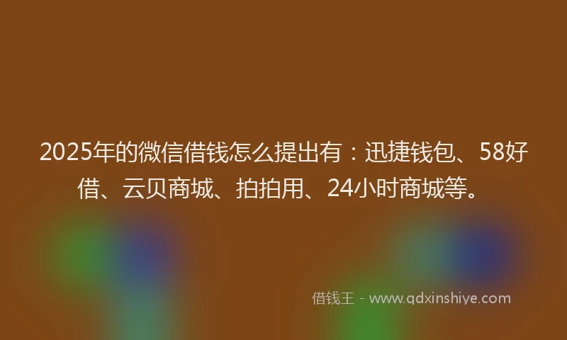 2025年的微信借钱怎么提出有：迅捷钱包、58好借、云贝商城、拍拍用、24小时商城等。