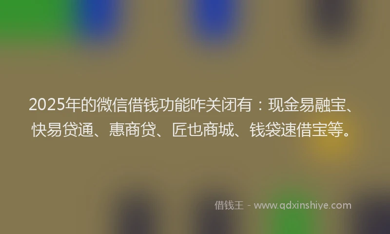 2025年的微信借钱功能咋关闭有：现金易融宝、快易贷通、惠商贷、匠也商城、钱袋速借宝等。