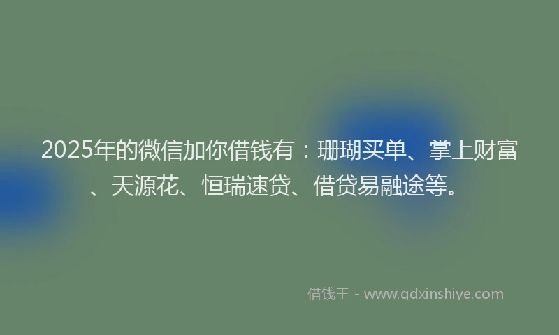2025年的微信加你借钱有：珊瑚买单、掌上财富、天源花、恒瑞速贷、借贷易融途等。