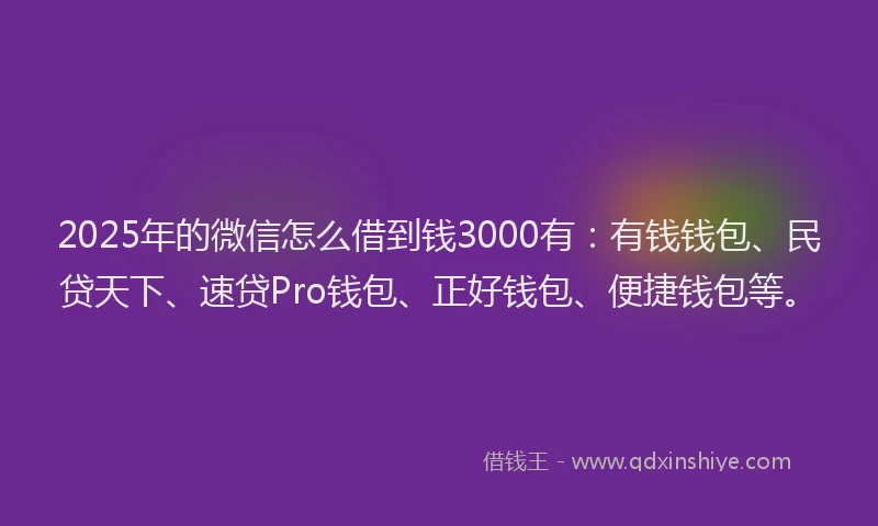 2025年的微信怎么借到钱3000有：有钱钱包、民贷天下、速贷Pro钱包、正好钱包、便捷钱包等。