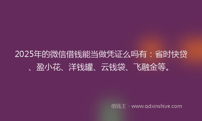 2025年的微信借钱能当做凭证么吗有：省时快贷、盈小花、洋钱罐、云钱袋、飞融金等。