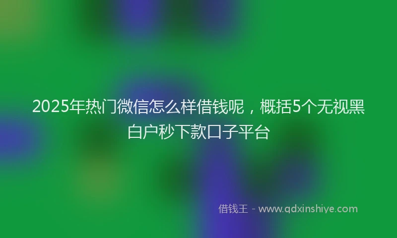 2025年热门微信怎么样借钱呢，概括5个无视黑白户秒下款口子平台