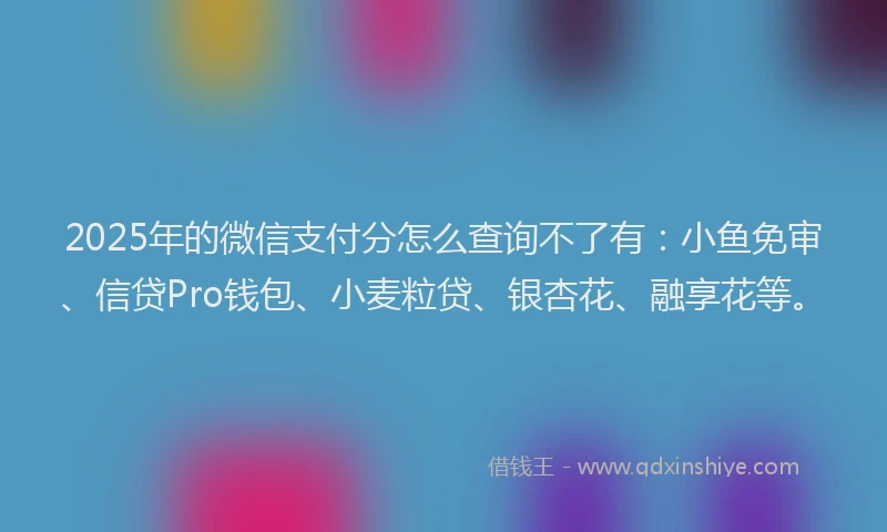 2025年的微信支付分怎么查询不了有：小鱼免审、信贷Pro钱包、小麦粒贷、银杏花、融享花等。