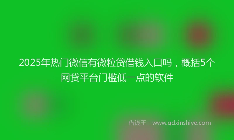 2025年热门微信有微粒贷借钱入口吗，概括5个网贷平台门槛低一点的软件
