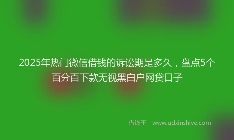 2025年热门微信借钱的诉讼期是多久，盘点5个百分百下款无视黑白户网贷口子