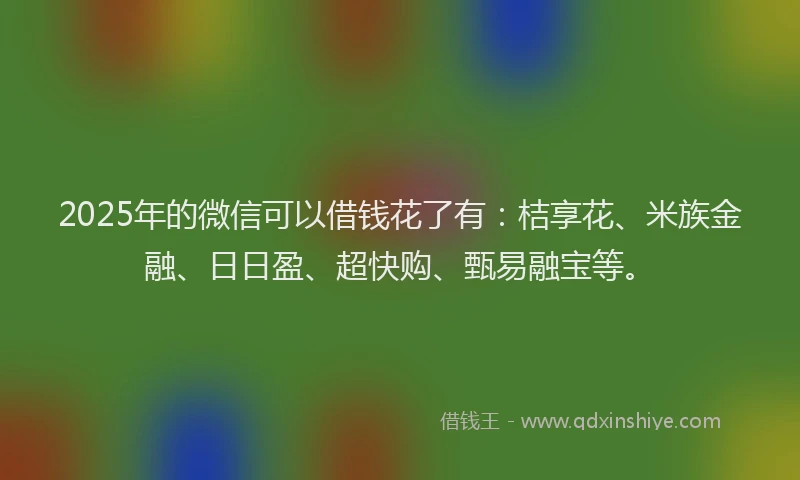 2025年的微信可以借钱花了有：桔享花、米族金融、日日盈、超快购、甄易融宝等。