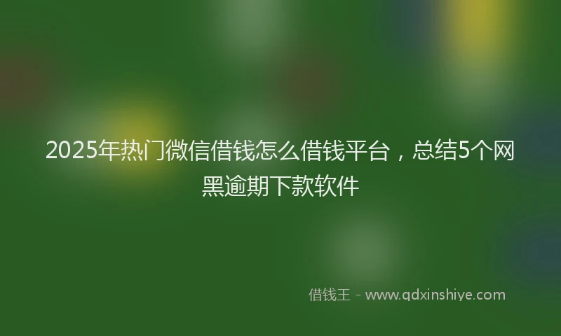 2025年热门微信借钱怎么借钱平台，总结5个网黑逾期下款软件