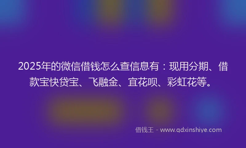 2025年的微信借钱怎么查信息有：现用分期、借款宝快贷宝、飞融金、宜花呗、彩虹花等。