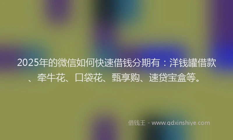 2025年的微信如何快速借钱分期有：洋钱罐借款、牵牛花、口袋花、甄享购、速贷宝盒等。