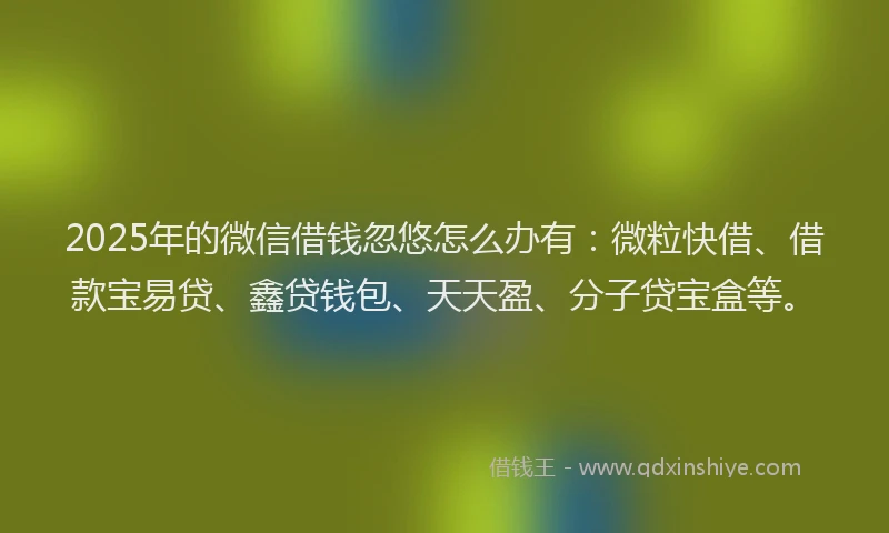 2025年的微信借钱忽悠怎么办有：微粒快借、借款宝易贷、鑫贷钱包、天天盈、分子贷宝盒等。