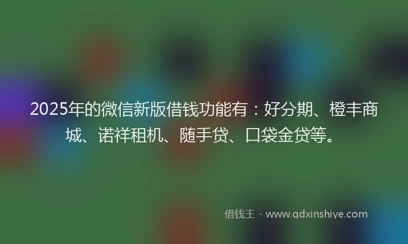 2025年的微信新版借钱功能有：好分期、橙丰商城、诺祥租机、随手贷、口袋金贷等。