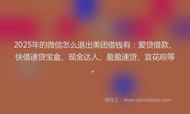2025年的微信怎么退出美团借钱有：爱贷借款、快借速贷宝盒、现金达人、盈盈速贷、宜花呗等。