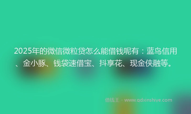 2025年的微信微粒贷怎么能借钱呢有：蓝鸟信用、金小豚、钱袋速借宝、抖享花、现金侠融等。