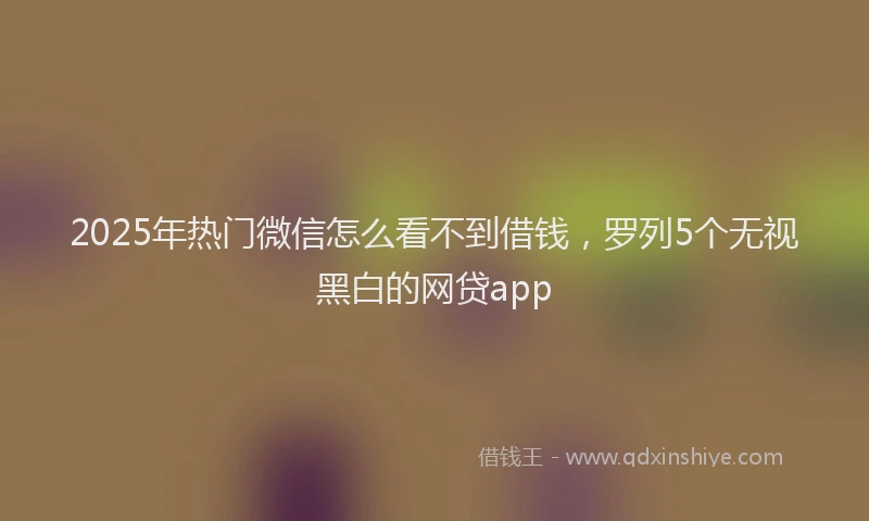 2025年热门微信怎么看不到借钱，罗列5个无视黑白的网贷app