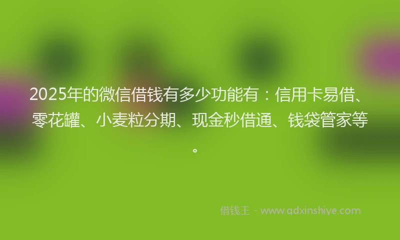2025年的微信借钱有多少功能有：信用卡易借、零花罐、小麦粒分期、现金秒借通、钱袋管家等。