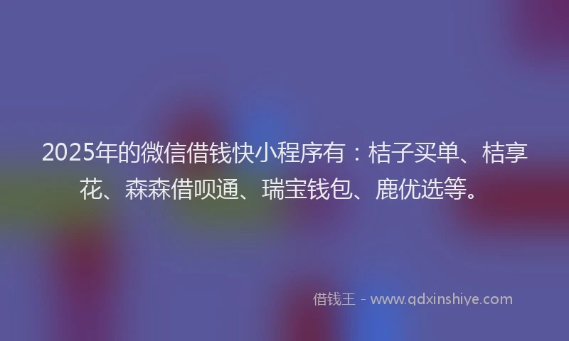 2025年的微信借钱快小程序有：桔子买单、桔享花、森森借呗通、瑞宝钱包、鹿优选等。
