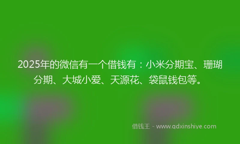 2025年的微信有一个借钱有：小米分期宝、珊瑚分期、大城小爱、天源花、袋鼠钱包等。