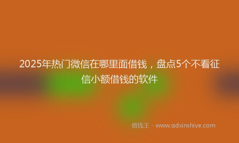 2025年热门微信在哪里面借钱，盘点5个不看征信小额借钱的软件