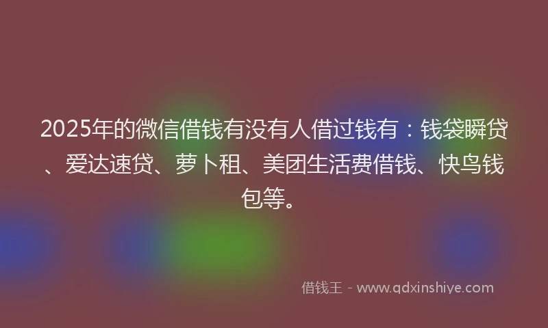 2025年的微信借钱有没有人借过钱有：钱袋瞬贷、爱达速贷、萝卜租、美团生活费借钱、快鸟钱包等。