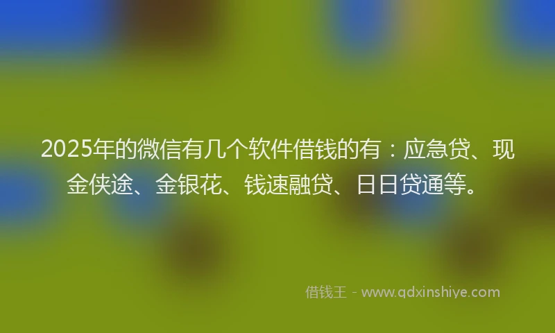 2025年的微信有几个软件借钱的有：应急贷、现金侠途、金银花、钱速融贷、日日贷通等。