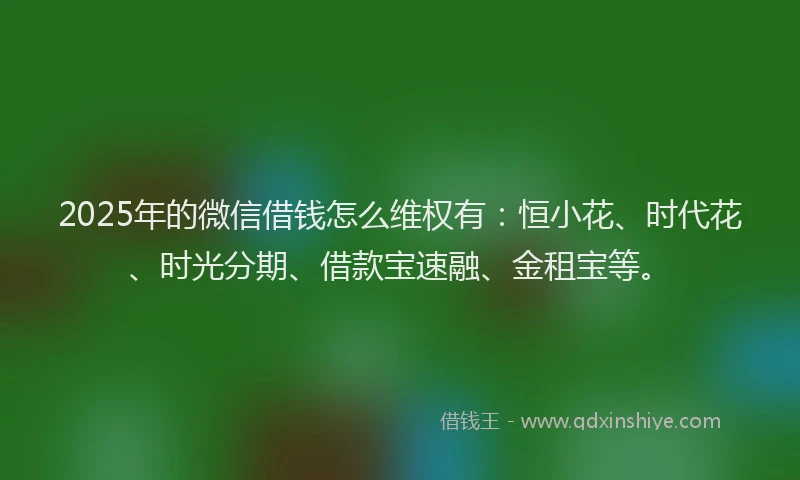2025年的微信借钱怎么维权有：恒小花、时代花、时光分期、借款宝速融、金租宝等。