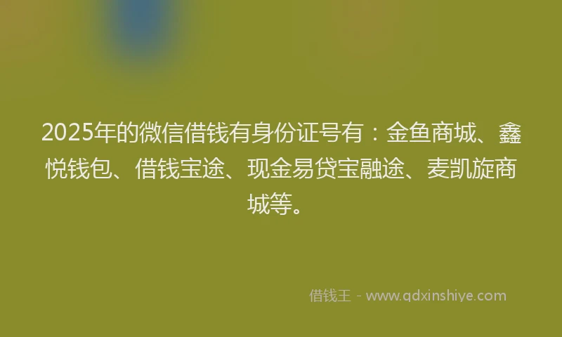 2025年的微信借钱有身份证号有：金鱼商城、鑫悦钱包、借钱宝途、现金易贷宝融途、麦凯旋商城等。