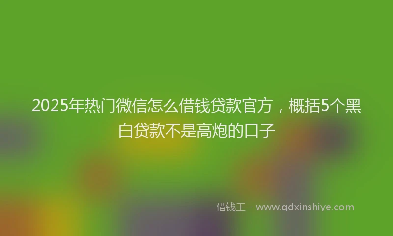 2025年热门微信怎么借钱贷款官方，概括5个黑白贷款不是高炮的口子