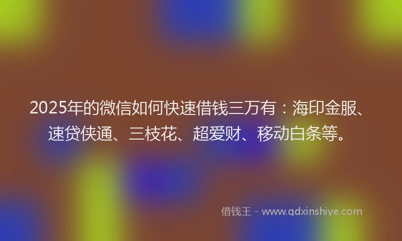 2025年的微信如何快速借钱三万有：海印金服、速贷侠通、三枝花、超爱财、移动白条等。