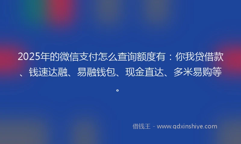 2025年的微信支付怎么查询额度有：你我贷借款、钱速达融、易融钱包、现金直达、多米易购等。
