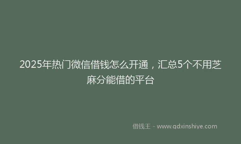 2025年热门微信借钱怎么开通，汇总5个不用芝麻分能借的平台