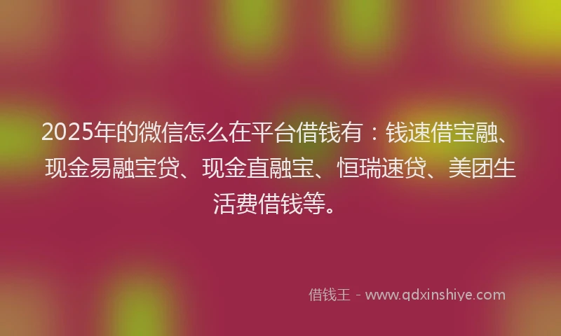 2025年的微信怎么在平台借钱有：钱速借宝融、现金易融宝贷、现金直融宝、恒瑞速贷、美团生活费借钱等。