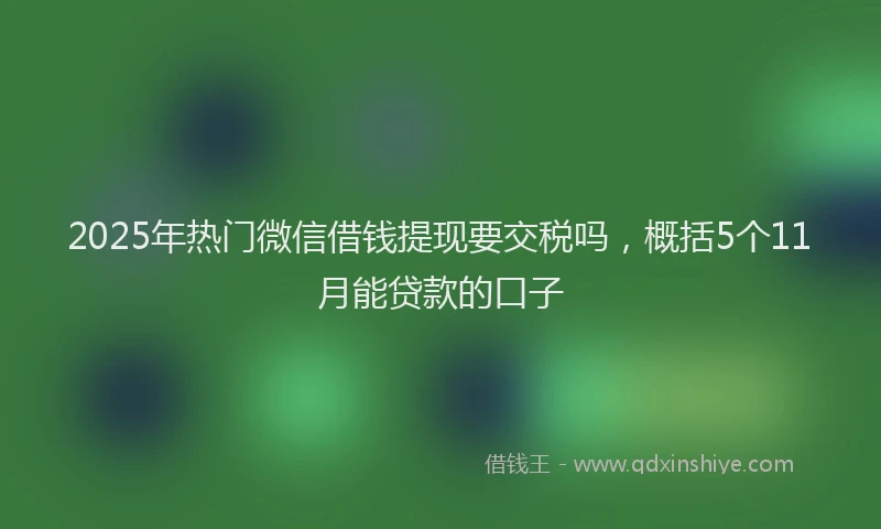 2025年热门微信借钱提现要交税吗，概括5个11月能贷款的口子