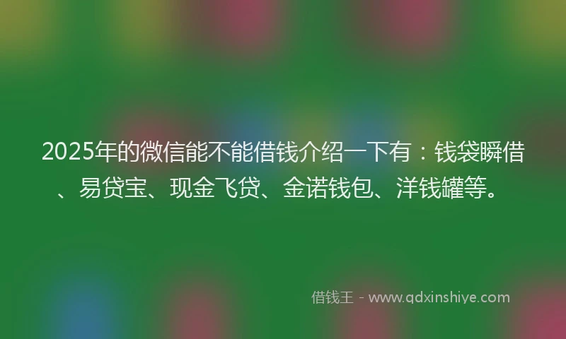 2025年的微信能不能借钱介绍一下有：钱袋瞬借、易贷宝、现金飞贷、金诺钱包、洋钱罐等。