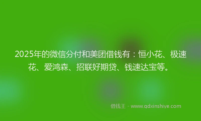 2025年的微信分付和美团借钱有：恒小花、极速花、爱鸿森、招联好期贷、钱速达宝等。
