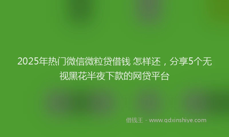 2025年热门微信微粒贷借钱 怎样还，分享5个无视黑花半夜下款的网贷平台